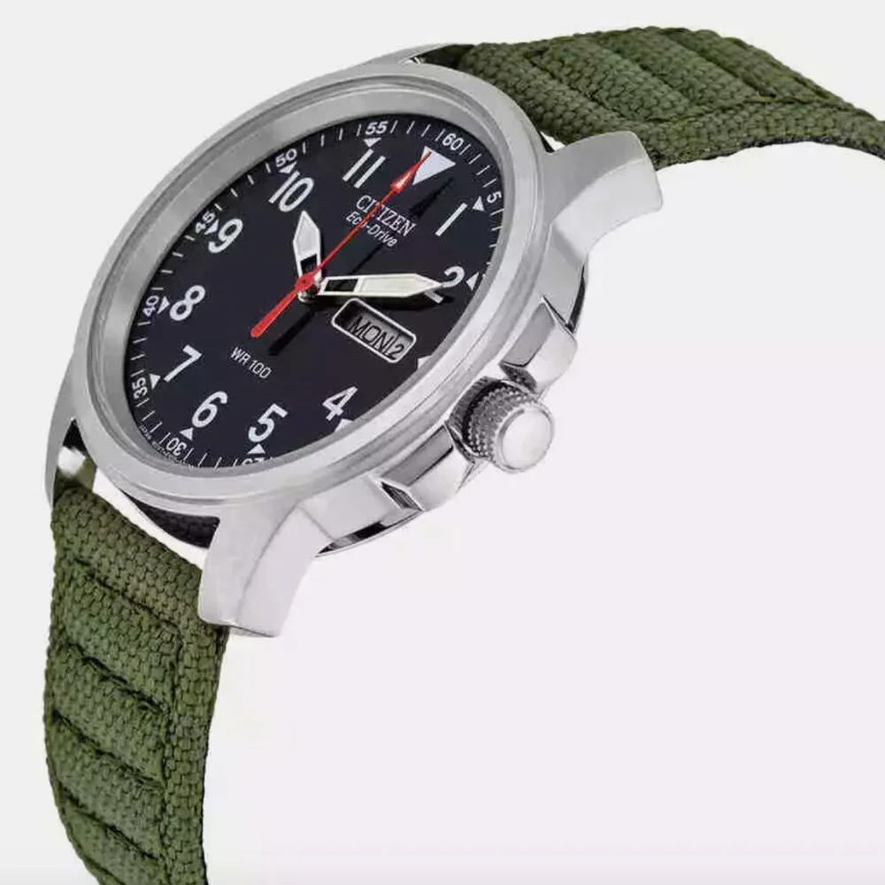 Citizen Strap Eco-Drive Day-Date Men's Watch